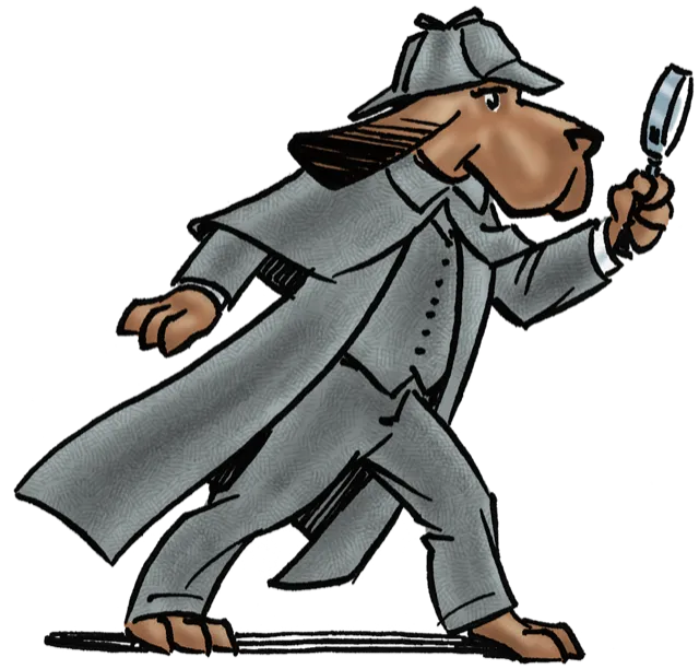 Pickleball courts at Chilson Recreation Center in Larimer County, Colorado