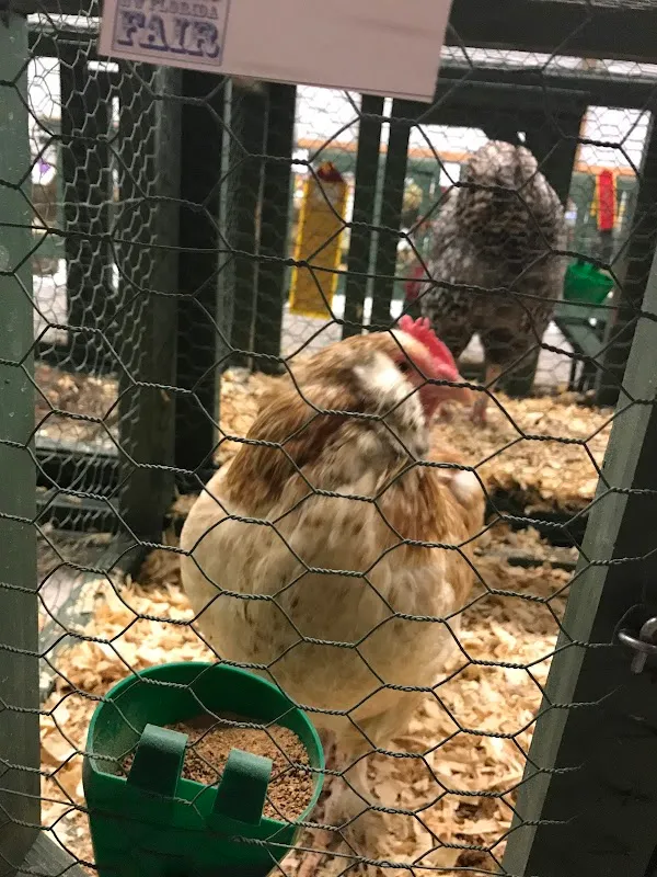 Boys and Girls Club of Fort Walton Beach — 5 pickleball courts in Fort Walton Beach, FL with indoor play, lighted