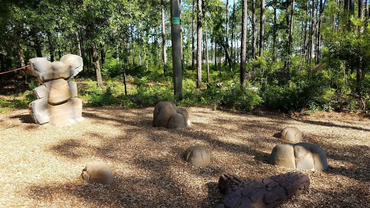 Coehadjoe Park — 8 pickleball courts in Ocala, FL, lighted