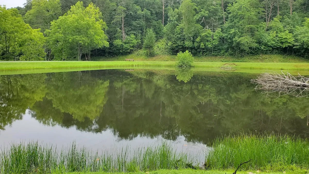 Fannin County Recreation Department โ 10 pickleball courts in Blue Ridge, GA with indoor play, lighted