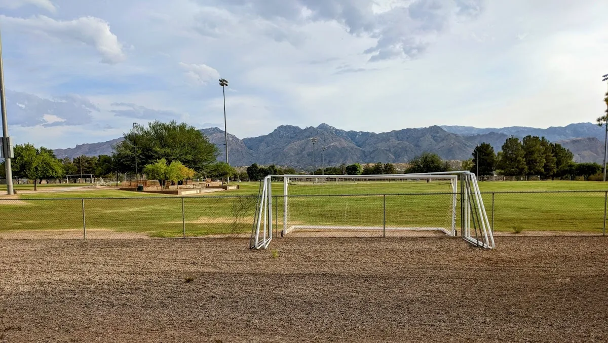 Morris K Udall Park โ 12 pickleball courts in Tucson, AZ, lighted