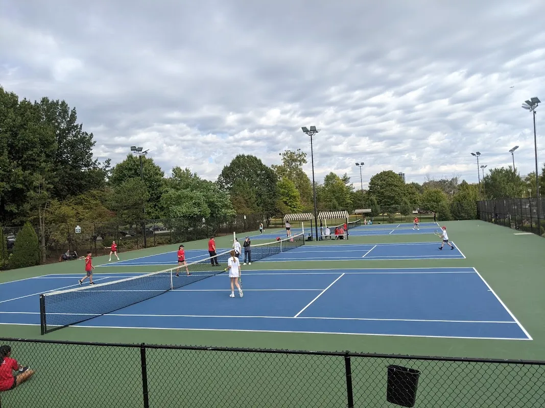 Forest Park - Dwight Davis Memorial Tennis Center โ 4 pickleball courts in St. Louis, MO, lighted