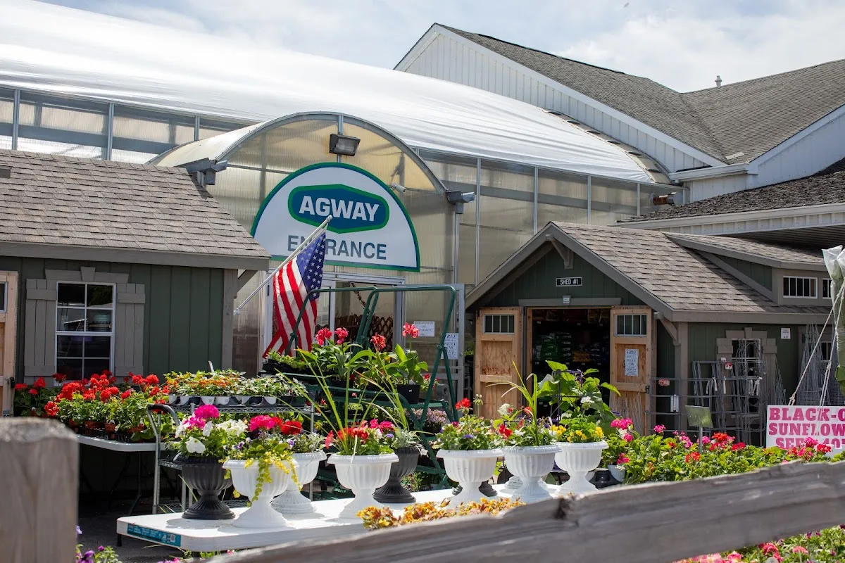 Sandstone Courts — 6 pickleball courts in Potsdam, NY, lighted