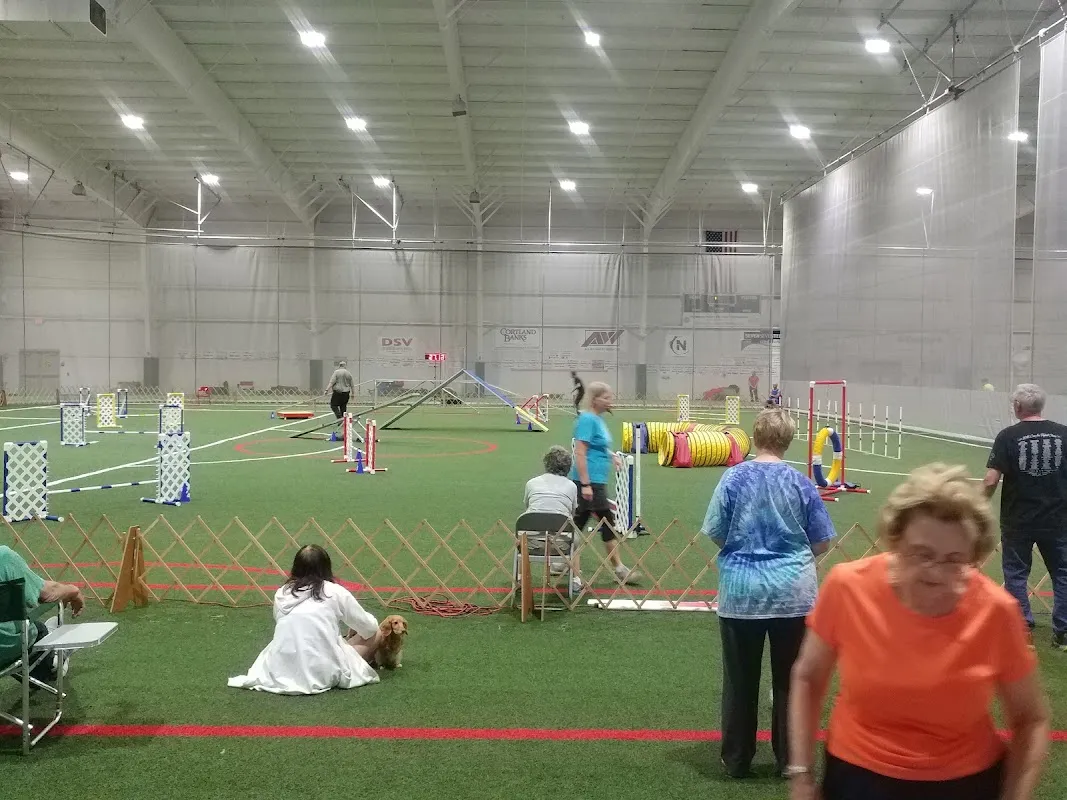 Niles Wellness Center — 3 pickleball courts in Niles, OH with indoor play, lighted