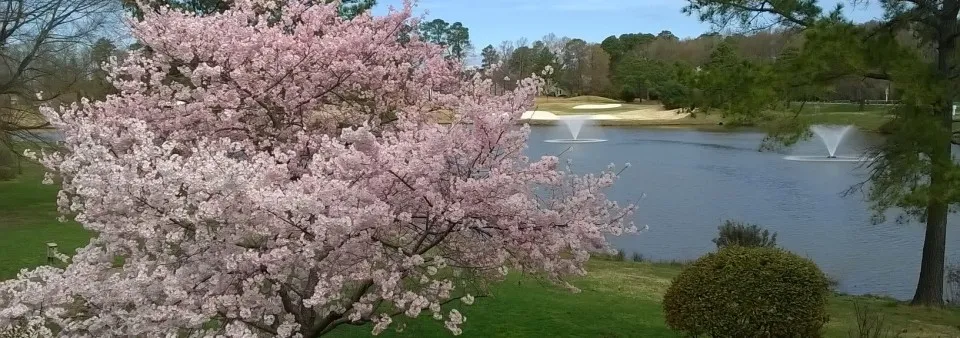 Kiln Creek — 6 pickleball courts in Newport News, VA, lighted