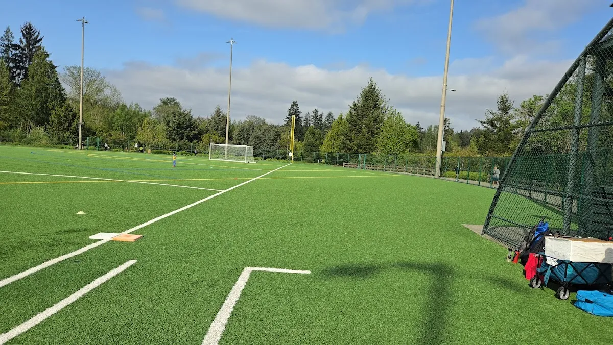 Perrigo Park — 4 pickleball courts in Redmond, WA, lighted